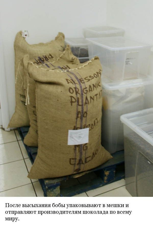 Как и из чего делают шоколад