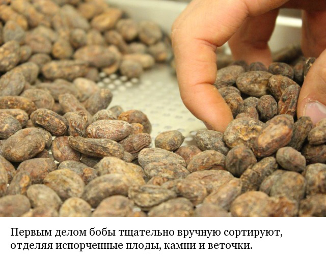 Как и из чего делают шоколад