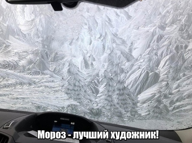 Прикольные картинки