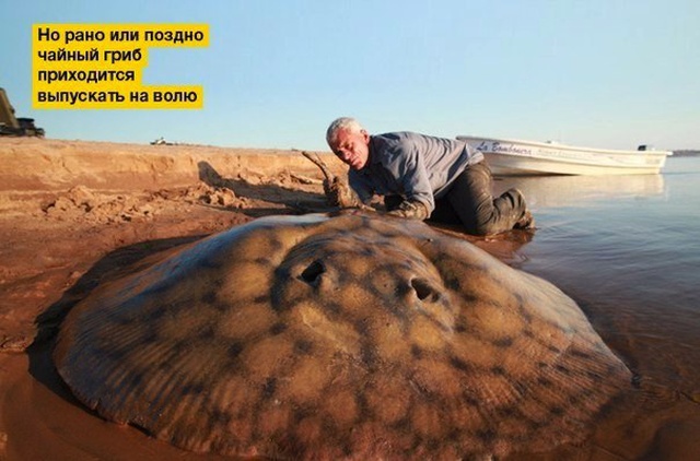 Прикольные картинки