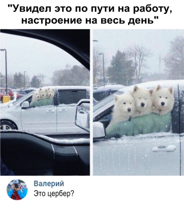 Прикольные картинки