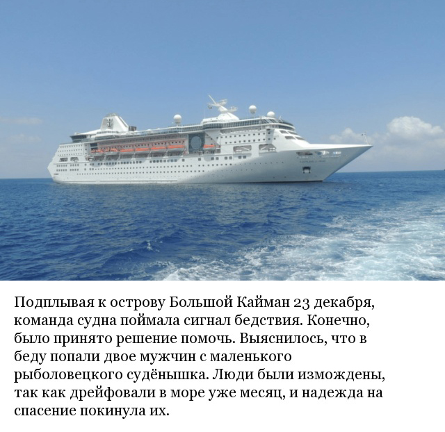 Океанский лайнер поменял курс из-за шторма и совершил настоящее рождественское чудо Океанский лайнер поменял курс из-за шторма и совершил настоящее рождественское чудо