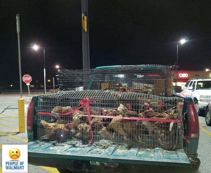 Экстравагантные покупатели Walmart