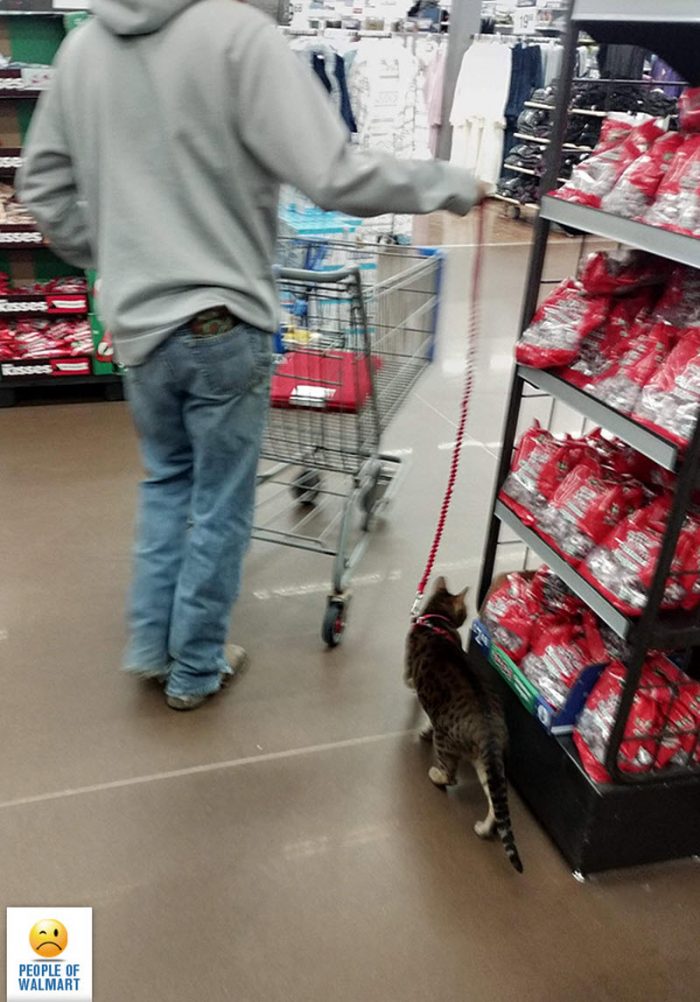 Экстравагантные покупатели Walmart