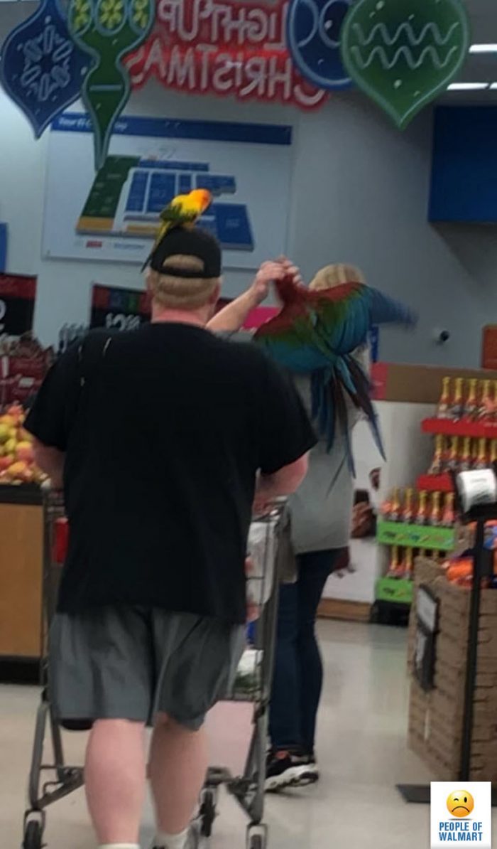 Экстравагантные покупатели Walmart
