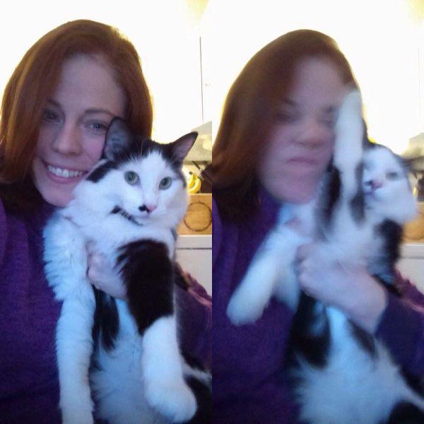 Забавные и симпатичные котэ