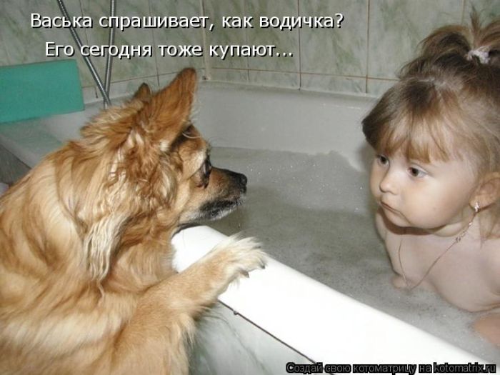 Лучшие котоматрицы недели