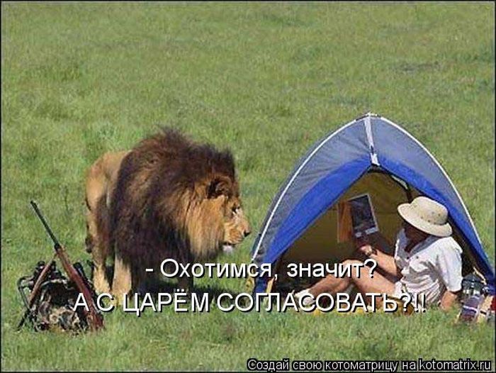 Лучшие котоматрицы недели