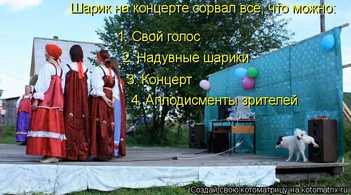 Лучшие котоматрицы недели