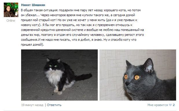 Новый Интернет-мем из вКонтакте (18 картинок)