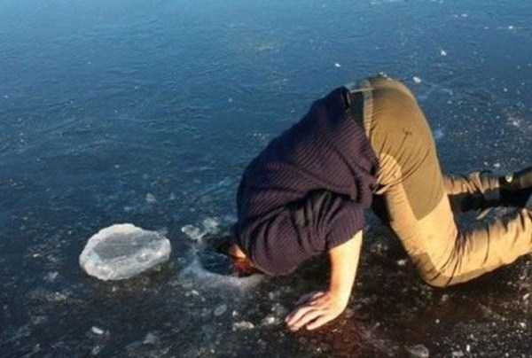 Номинанты на премию Дарвина ...