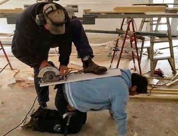 Номинанты на премию Дарвина ...