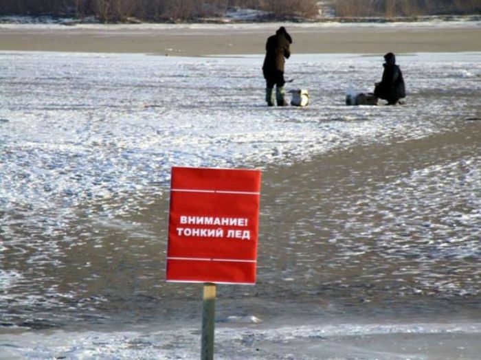 Порция картинок