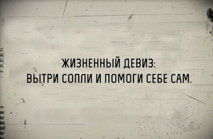 Порция картинок