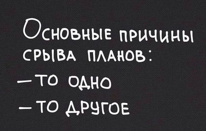 Порция картинок