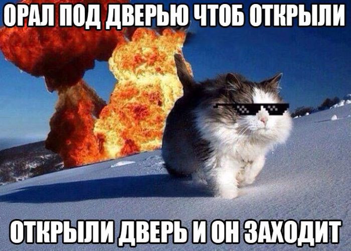 Порция картинок