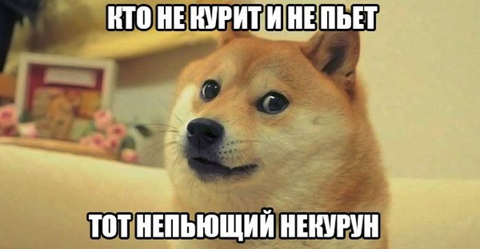 Порция картинок