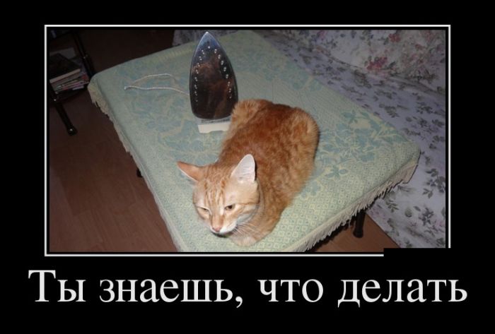 Демотиваторы