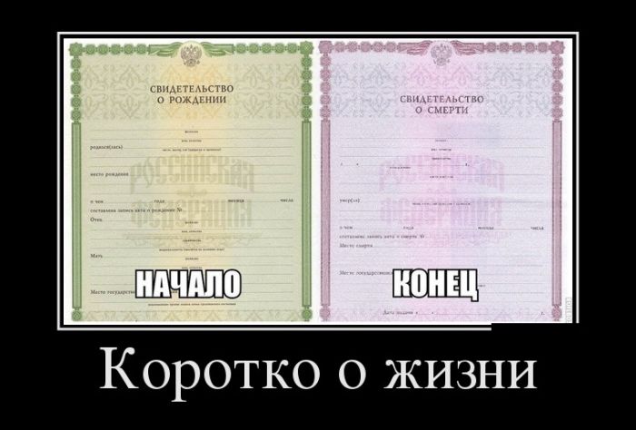 Демотиваторы