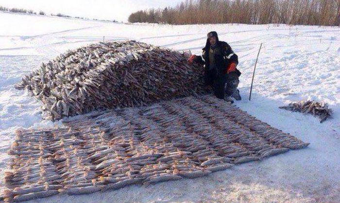 Фото, которые возможно было сделать только в России