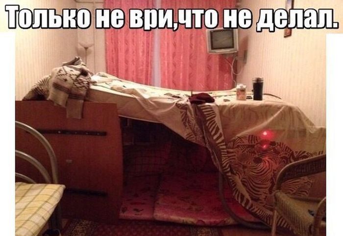 Прикольные картинки