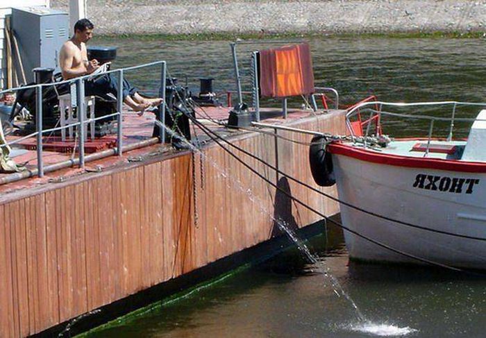 Прикольные картинки