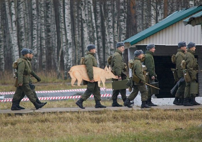 Прикольные картинки