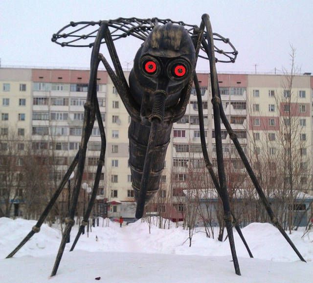 Прикольные картинки