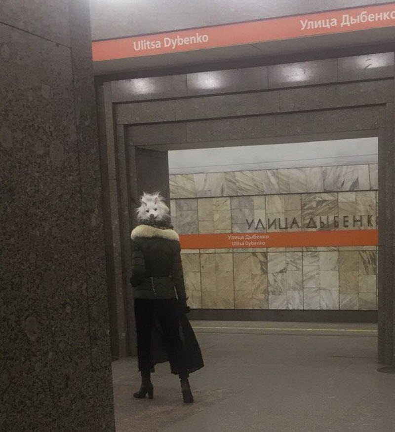 Модники из метрополитена