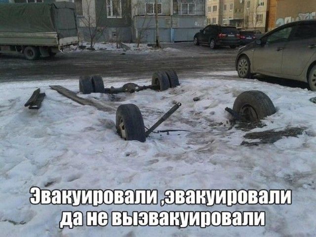 Прикольные картинки
