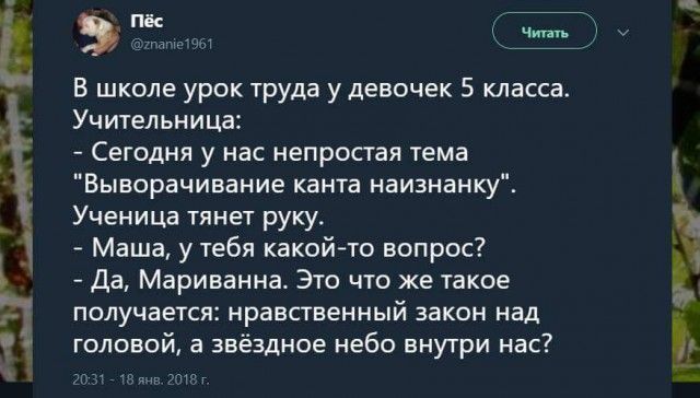 Прикольные картинки