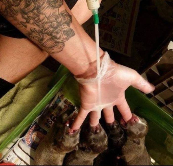 Лайфхак на скорую руку