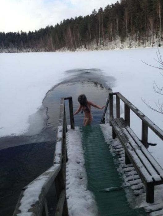 Прикольные картинки
