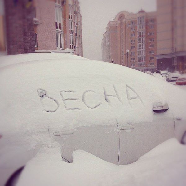 Авто-юмор. Часть 9 (40 фото)