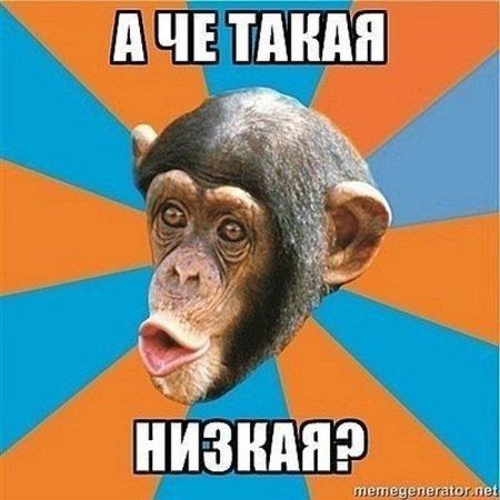 Авто-юмор. Часть 9 (40 фото)