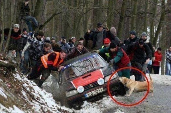 Авто-юмор. Часть 9 (40 фото)
