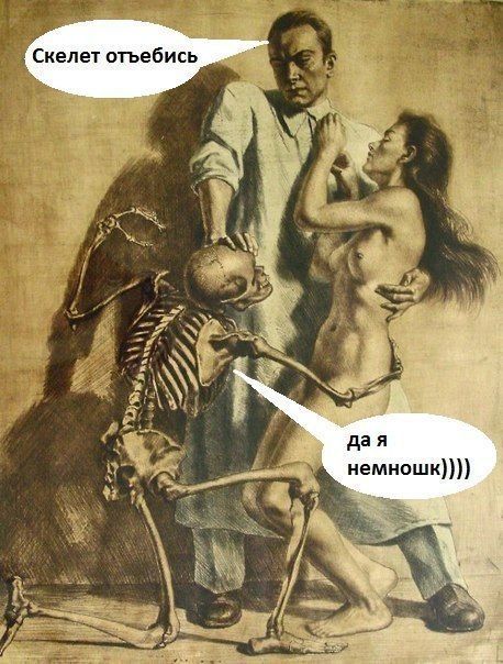 Прикольные картинки (117 фото)