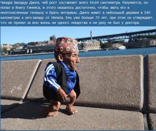 Прикольные картинки (117 фото)