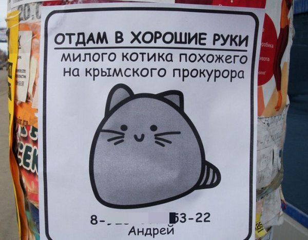 Прикольные картинки (117 фото)