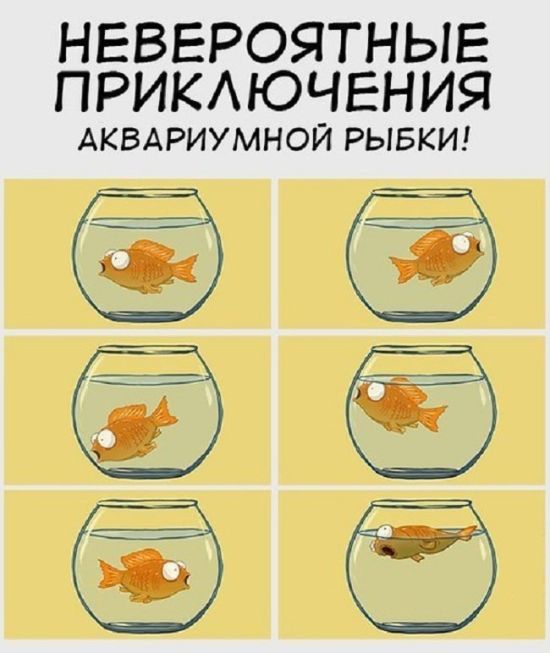 Подборка комиксов