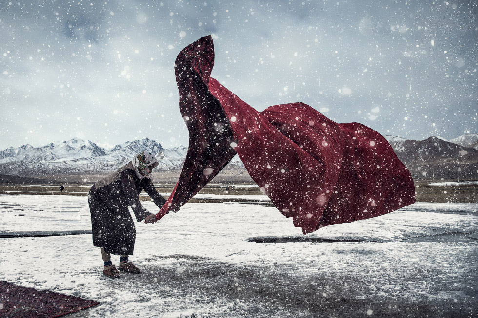 Победители Sony World Photography Awards 2018
