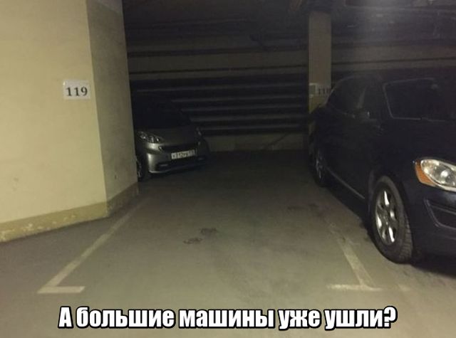 Прикольные картинки