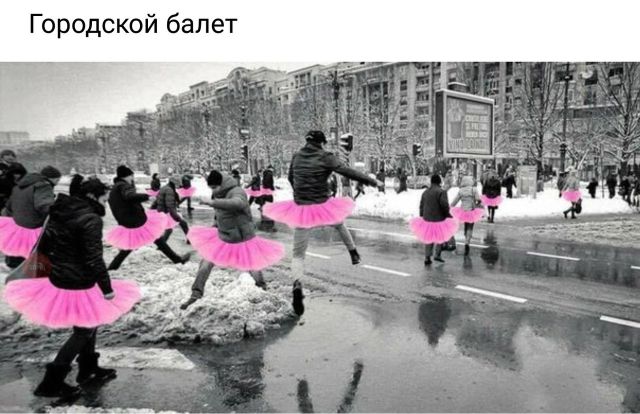 Прикольные картинки