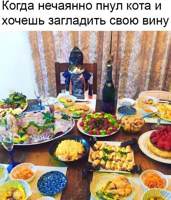 Прикольные картинки