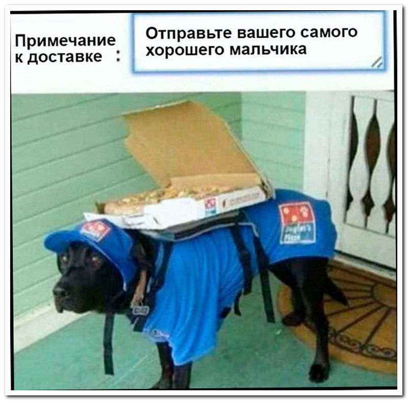 Забавные комментарии из социальных сетей