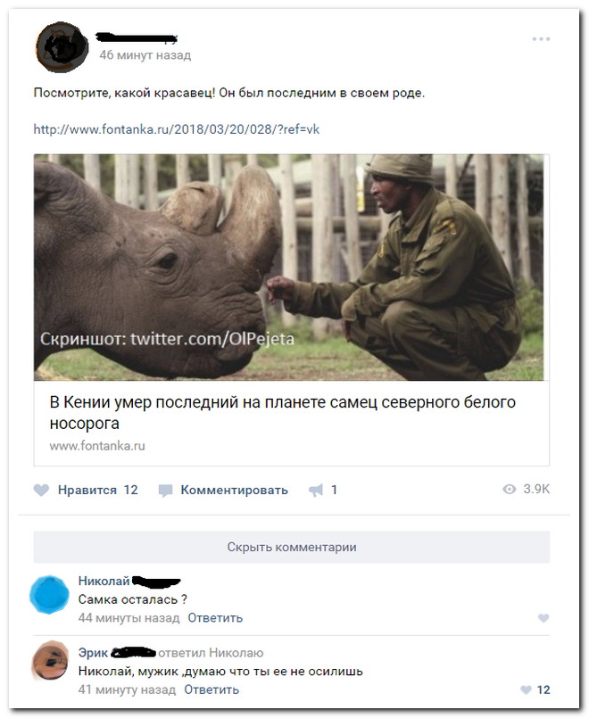 Забавные комментарии из социальных сетей