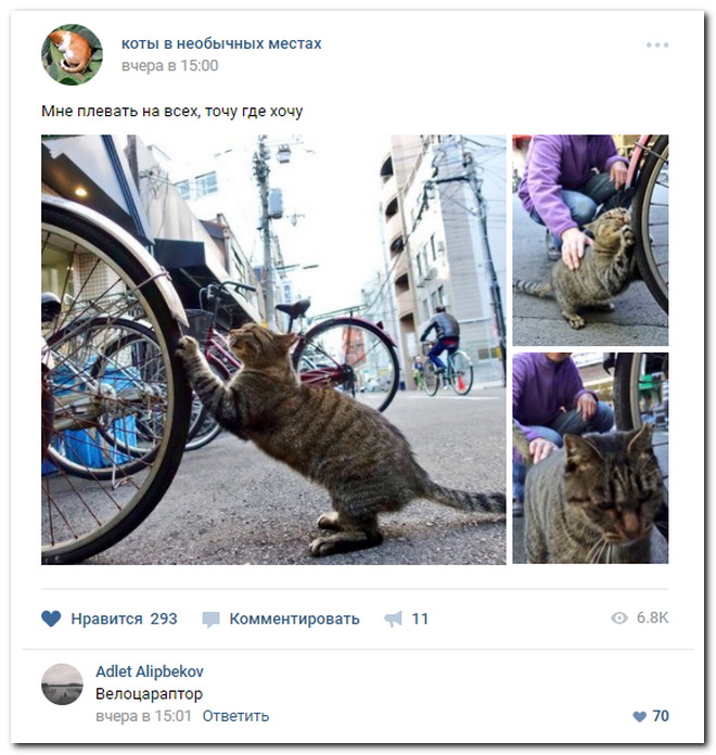 Забавные комментарии из социальных сетей
