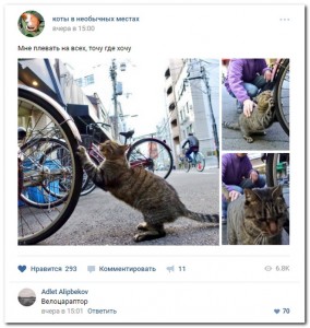 Забавные комментарии из социальных сетей