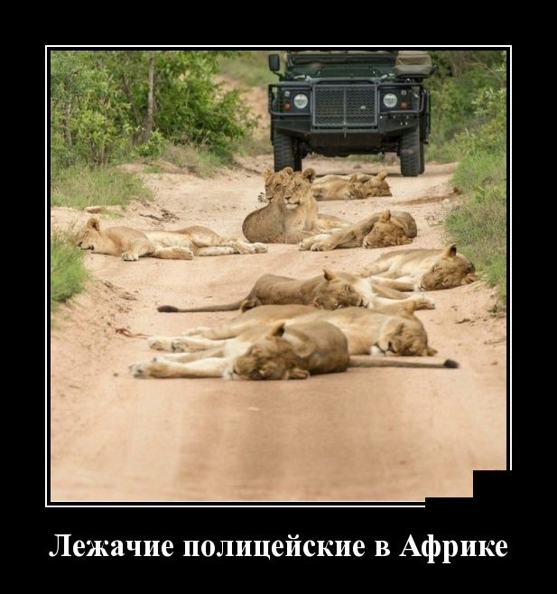 Демотиваторы