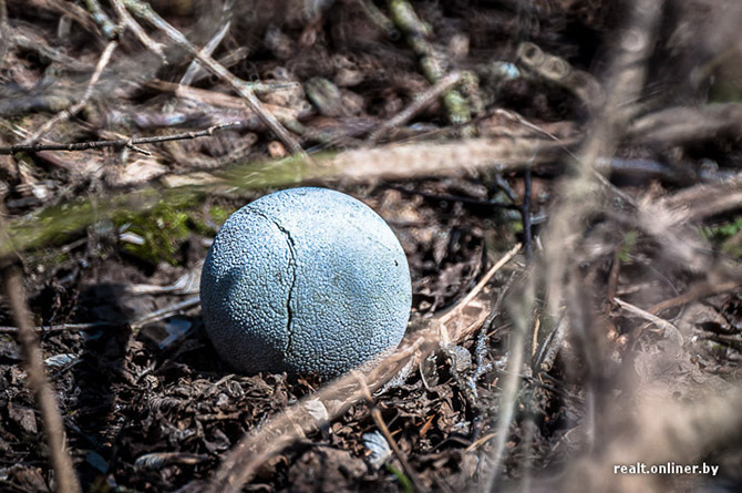 Чернобыль – город, где не будет детей